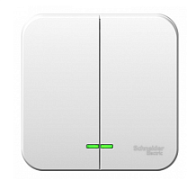 BLANCA Открытой Установки 2-клавишный выключатель с подсветкой с монтажной пластиной, 10А, 250B, БЕЛЫЙ (Schneider Electric) Systeme Electric