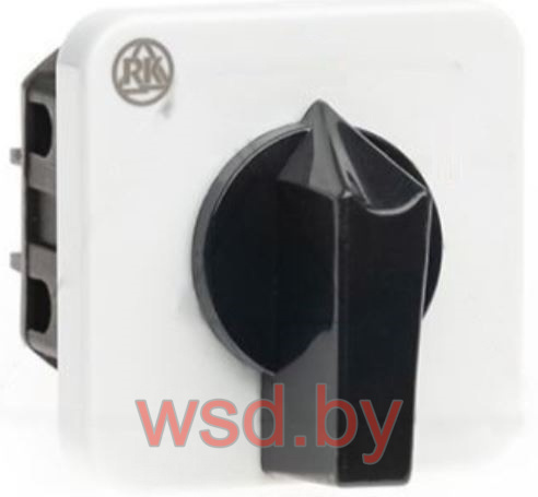 Переключатель BS 16 91 U, 2P, 20A, тип 0-1 (60°), 2NO на 1, 2.5kW(230VAC по АС-23), на дверь, фронт IP40