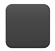 BLANCA Открытой Установки 1-клавишный выключатель с самовозвратом, 10А, АНТРАЦИТ (Schneider Electric) Systeme Electric