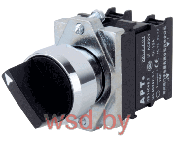 Переключатель PB1S, черный, I-0-II, фиксация, 2NO, 6A 230VAC/24VDC, без подсветки, 22mm, IP65