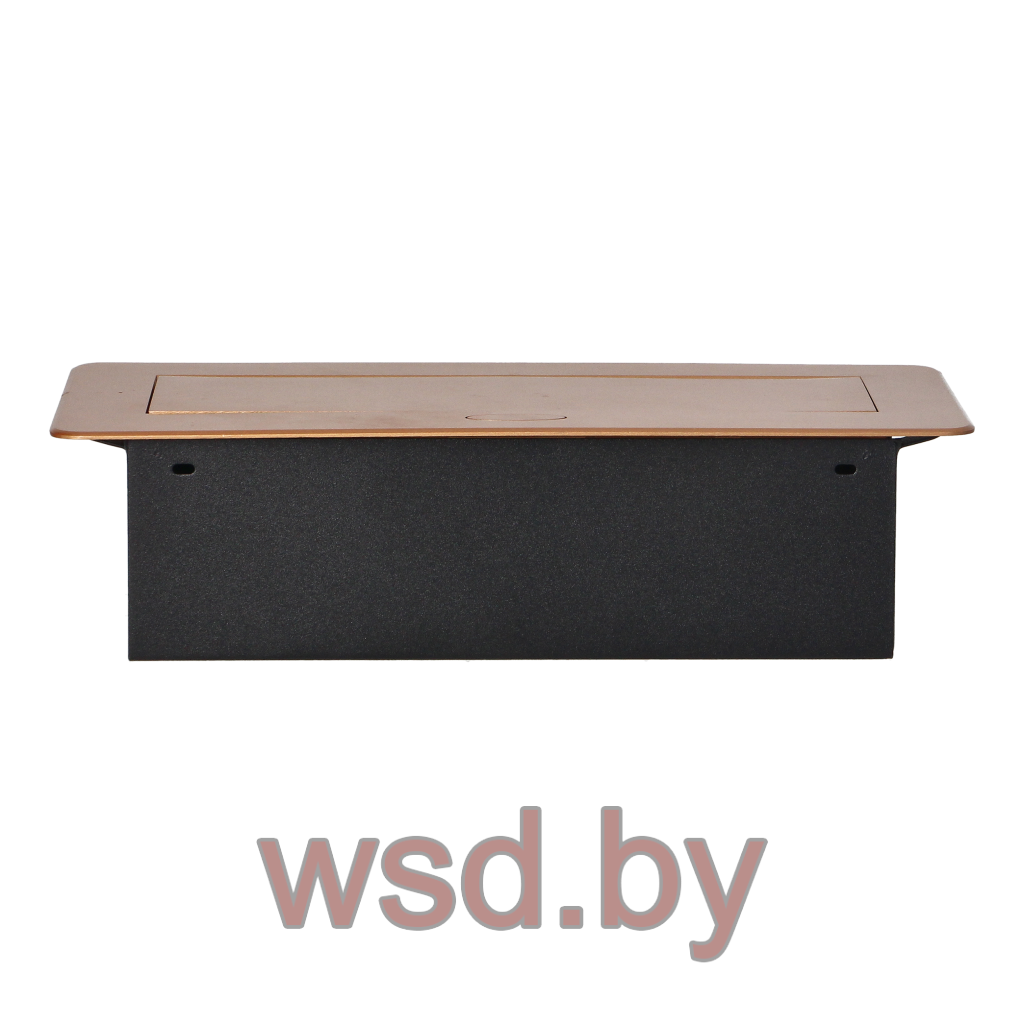 Блок розеточный встраиваемый 2хUSB 5V 2,1A + 2x2P+E со шторками, без кабеля, 3600вт, золотой. Фото N2