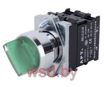 Переключатель PB1S, зеленый, I-0-II, фиксация, 2NO, 6A 230VAC/24VDC, с подсветкой 24VAC/DC, 22mm, IP65