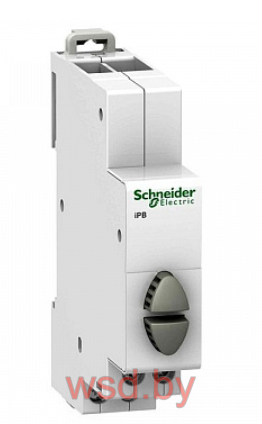 Кнопка управления iPB серая/серая 1НО/1НО Acti 9 Schneider Electric. Фото N2