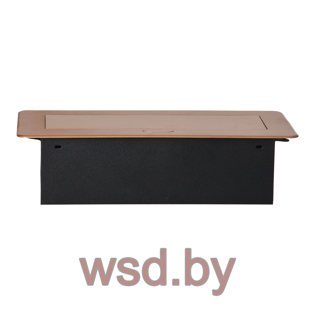 Блок розеточный встраиваемый 3x2P+E со шторками, без кабеля, 3600вт, золотой. Фото N2
