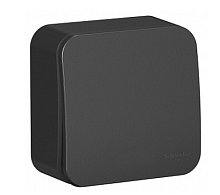 BLANCA Открытой Установки 1-клавишный выключатель, 10А, 250B, АНТРАЦИТ (Schneider Electric) Systeme Electric