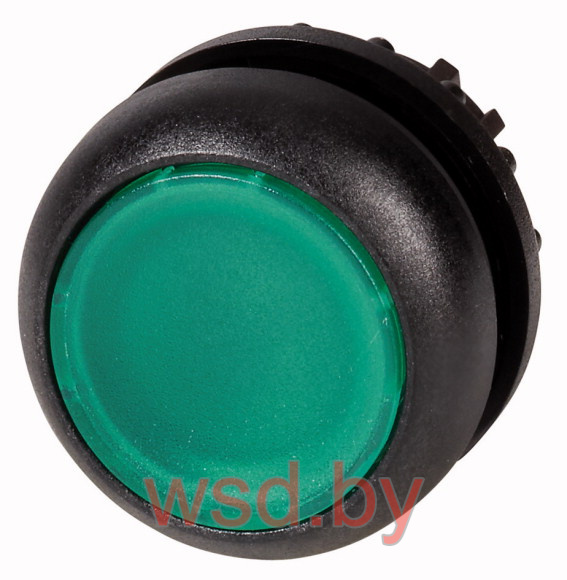 Головка кнопки CP, зеленая, без фиксации, плоская, марк. I, 22mm, IP65