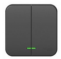 BLANCA Открытой Установки 2-клавишный выключатель с подсветкой с изолированной пластиной, 10А, 250B, АНТРАЦИТ (Schneider Electric) Systeme Electric