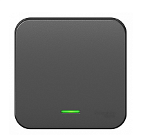 BLANCA Открытой Установки 1-клавишный Переключатель с подсветкой с изолированной пластиной, 10А, 250B, АНТРАЦИТ (Schneider Electric) Systeme Electric