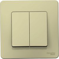 Скрытой Установки2-клавишный Выключатель (cхема 5), 10А, 250B, БЕЖЕВЫЙ BLANCA (Schneider Electric) Systeme Electric Скрытой Установки2-клавишный Выключатель (cхема 5), 10А, 250B, БЕЖЕВЫЙ BLANCA (Schneider Electric) Systeme Electric